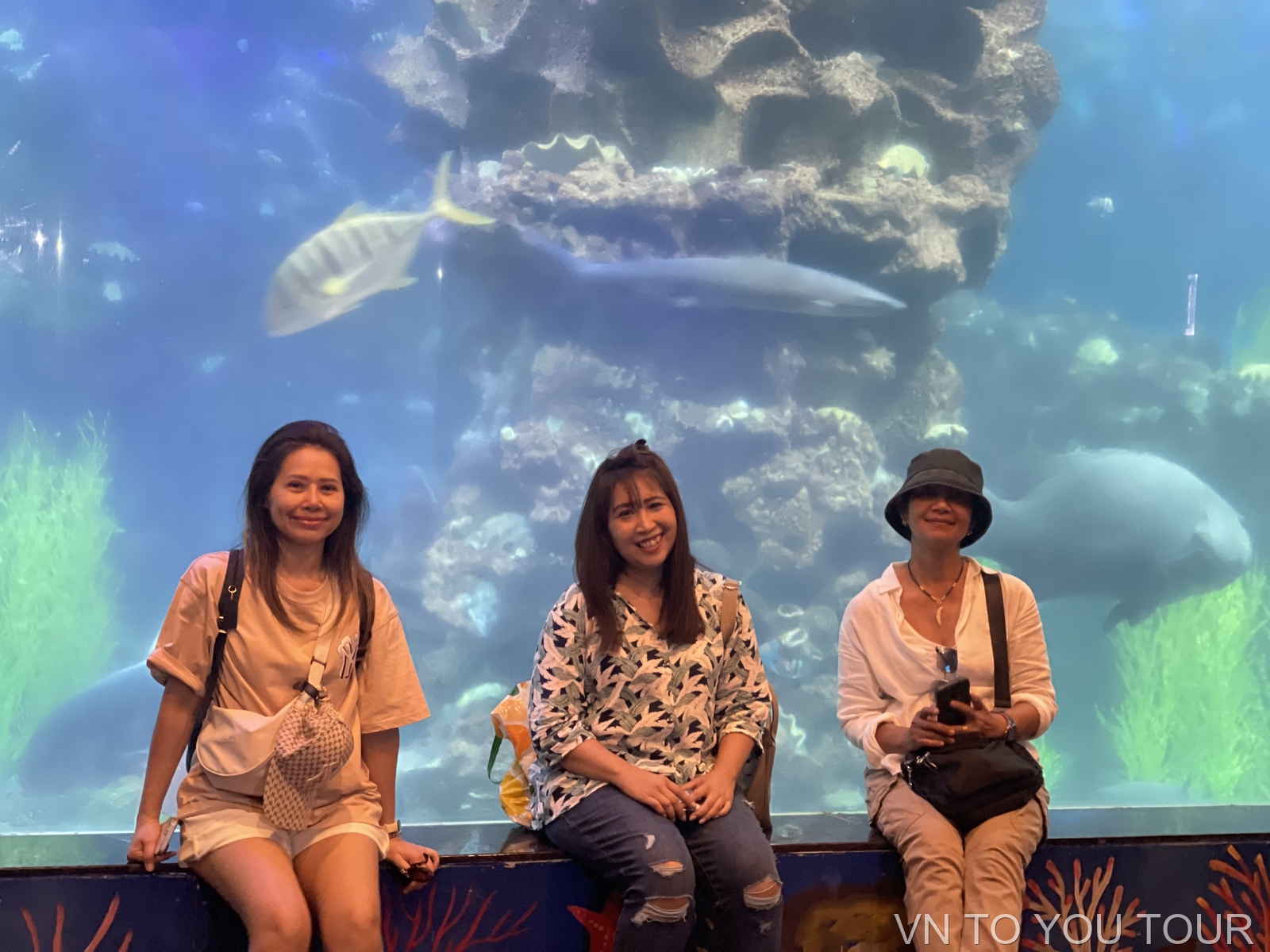 VNS407 South Coastal Adventure 4D3N - Gallery Image 5