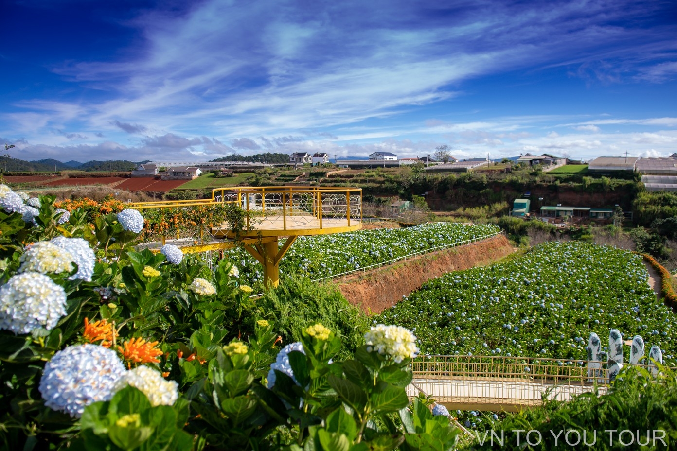 Da Lat Night Market: A Culinary Adventure - Gallery Image 1