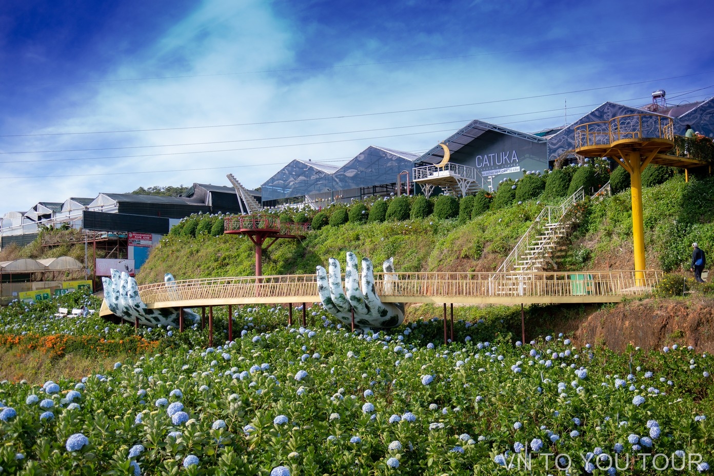 Da Lat Night Market: A Culinary Adventure